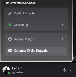 Discord ID nasıl kopyalanır